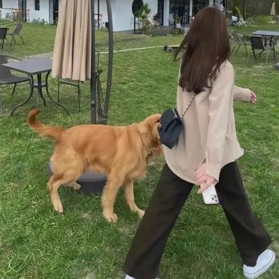 最难消受美人恩
